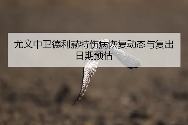 尤文中卫德利赫特伤病恢复动态与复出日期预估